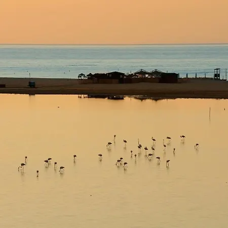 Affittacamere Seabreeze: La Serenita A San Teodoro Pensión