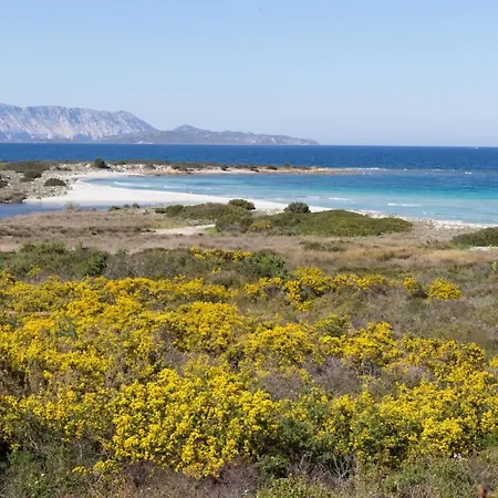 Affittacamere Seabreeze: La Serenita A San Teodoro